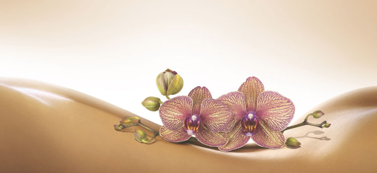 Offrir un Massage à Sarlat, Gourdon, Domme...